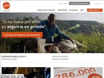 fundacion-affinity.org