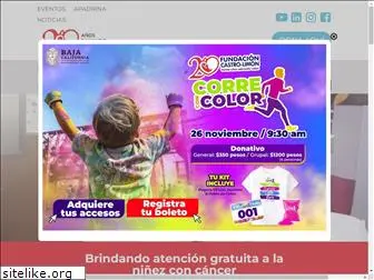 fundacioncastrolimon.org