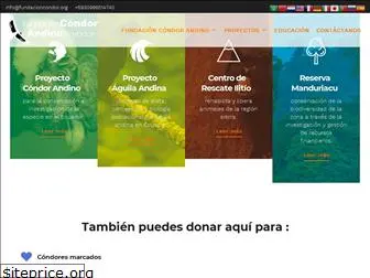 fundacioncondor.org