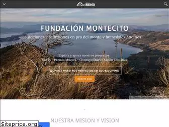 fundacionmontecito.org