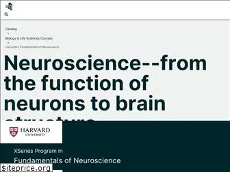 fundamentalsofneuroscience.org