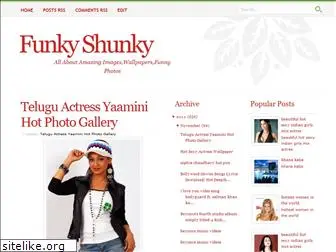 funkyshunky.blogspot.com