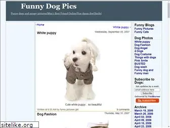 funny-dog.blogspot.com