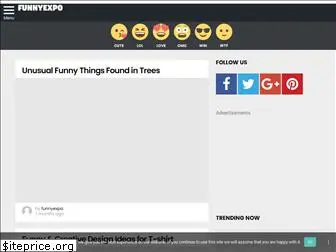 funnyexpo.com