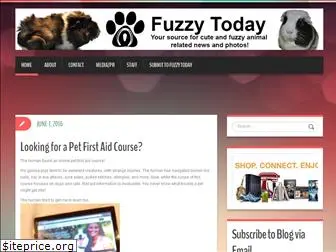 fuzzytoday.com