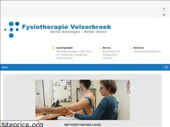 fysiotherapie-velserbroek.nl