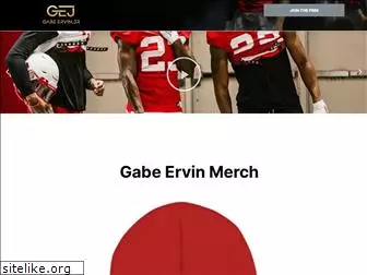 gabeervinjr.com