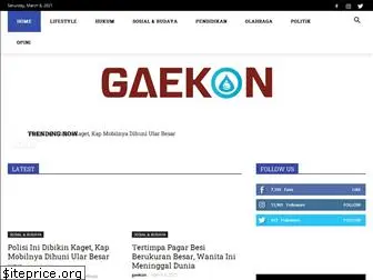 gaekon.com