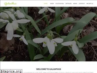 galanthus.co.uk