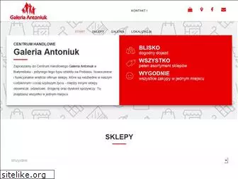 galeria-antoniuk.pl