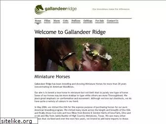 gallandeer.com