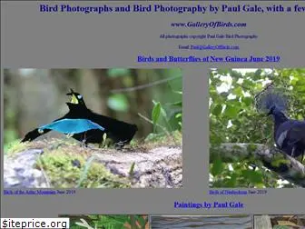 galleryofbirds.com