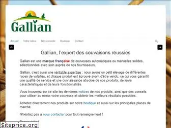 gallian.info