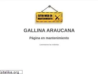 gallinaaraucana.es