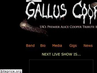 galluscooper.com