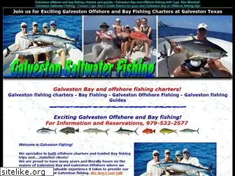 galvestonsaltwaterfishing.com