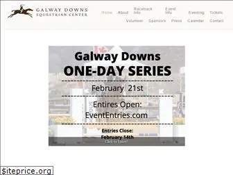 galwaydowns.net