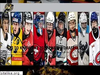 gamblershockey.com