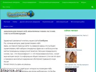 gambusia.ru