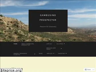 gambusinoprospector.com