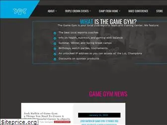 gamegym.com