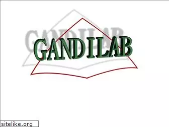 gandilab.com