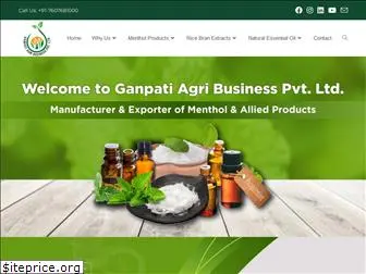 ganpatiagri.com