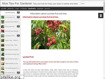 gardener-pro-ok.blogspot.com