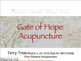 gateofhopeacupuncture.com