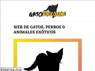 gatoexotico.com