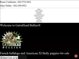 gatorheadbullies.com