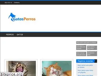 gatos-perros.com