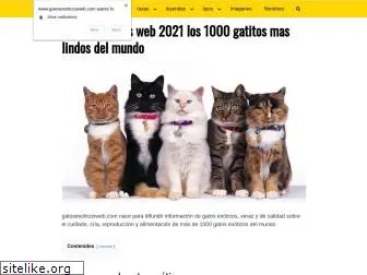 gatosexoticosweb.com