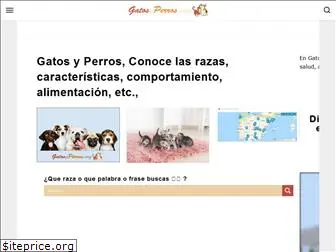 gatosyperros.org