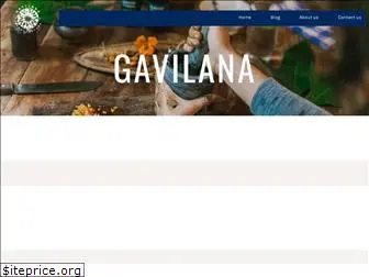 gavilana.com