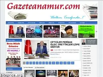 gazeteanamur.com