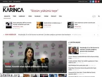gazetekarinca.com