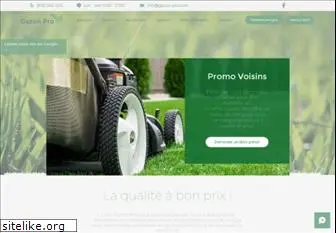 gazon-pro.com