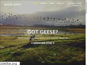 geeseguys.com