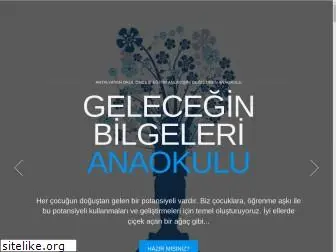 geleceginbilgeleri.com