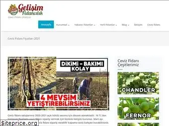gelisimfidancilik.com.tr