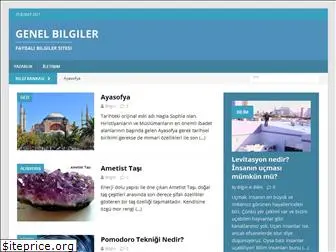 genelbilgiler.com