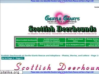 gentlegiantsrescue-scottish-deerhounds.com