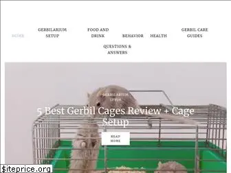 gerbilwelfare.com