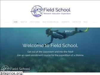 getintothefield.com