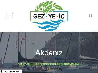 gezyeic.com