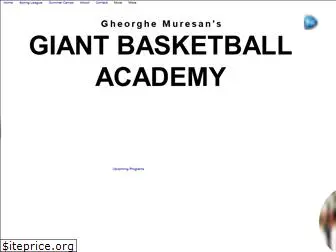 giantbasketball.com