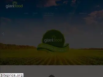giantfd.com
