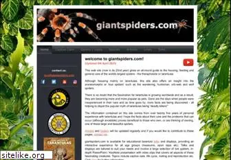 giantspiders.com