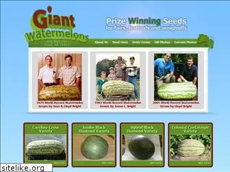 giantwatermelons.com